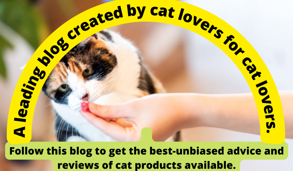 A leading blog created by cat lovers for cat lovers. (5)