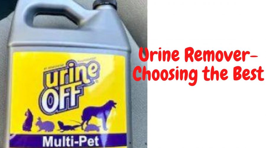 Urine Remover- Choosing the Best